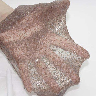 如何選擇適合自己膚質的海藻成分！